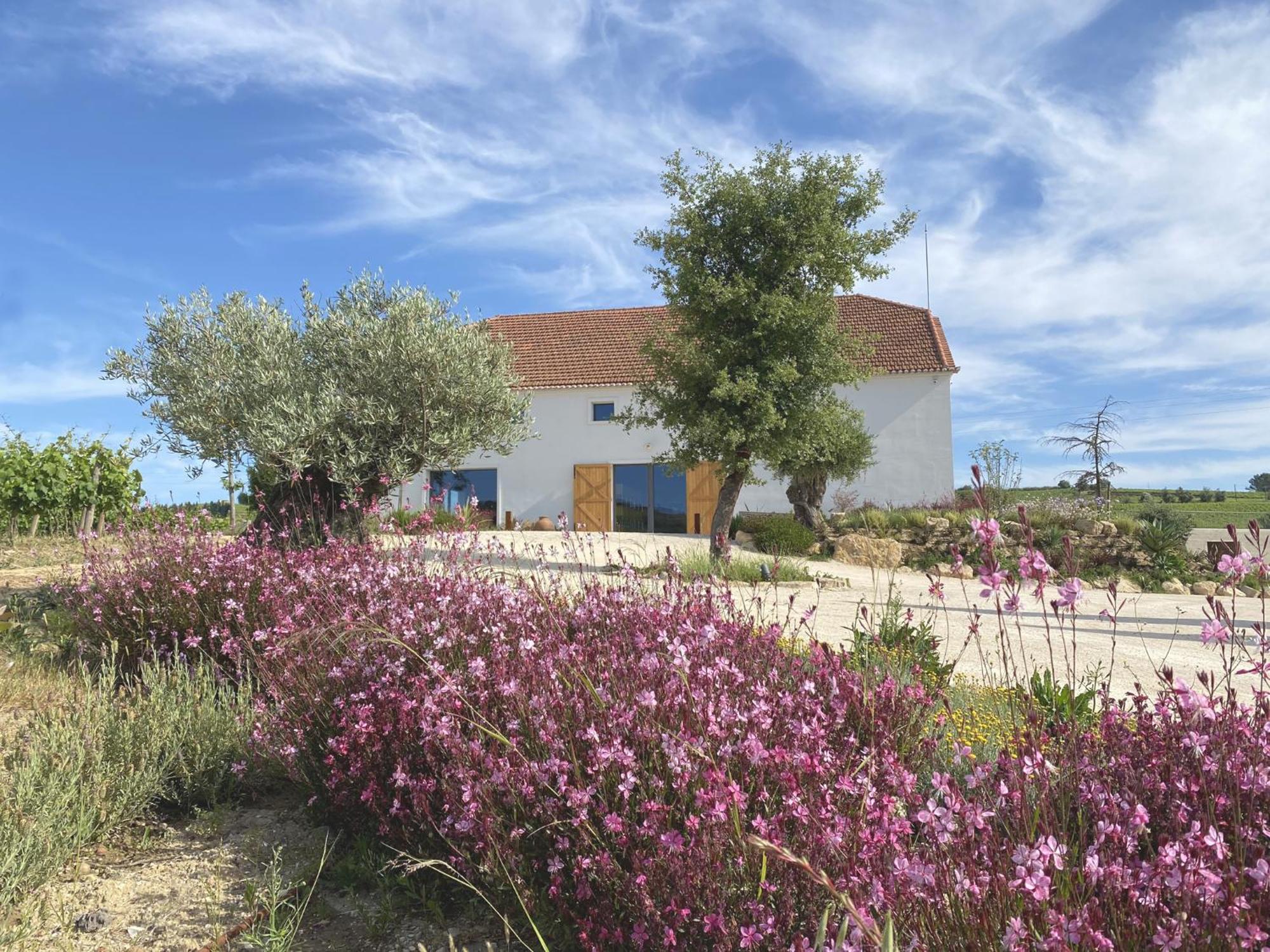 Vila Cas'Amaro Alenquer Exteriér fotografie